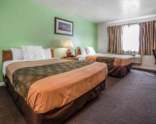 Ameri-Stay Inn & Suites Clearfield Habitación foto
